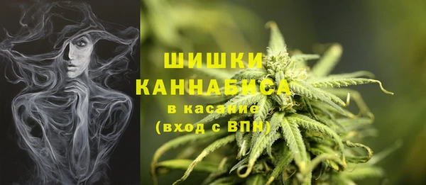 мдпв Дмитриев