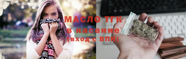 мдпв Дмитриев