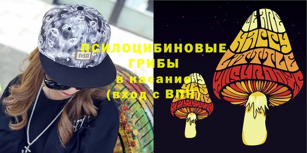 молекула духа Дмитровск