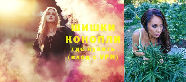 мдпв Дмитриев