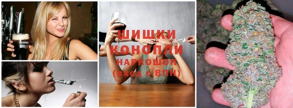 молекула духа Дмитровск